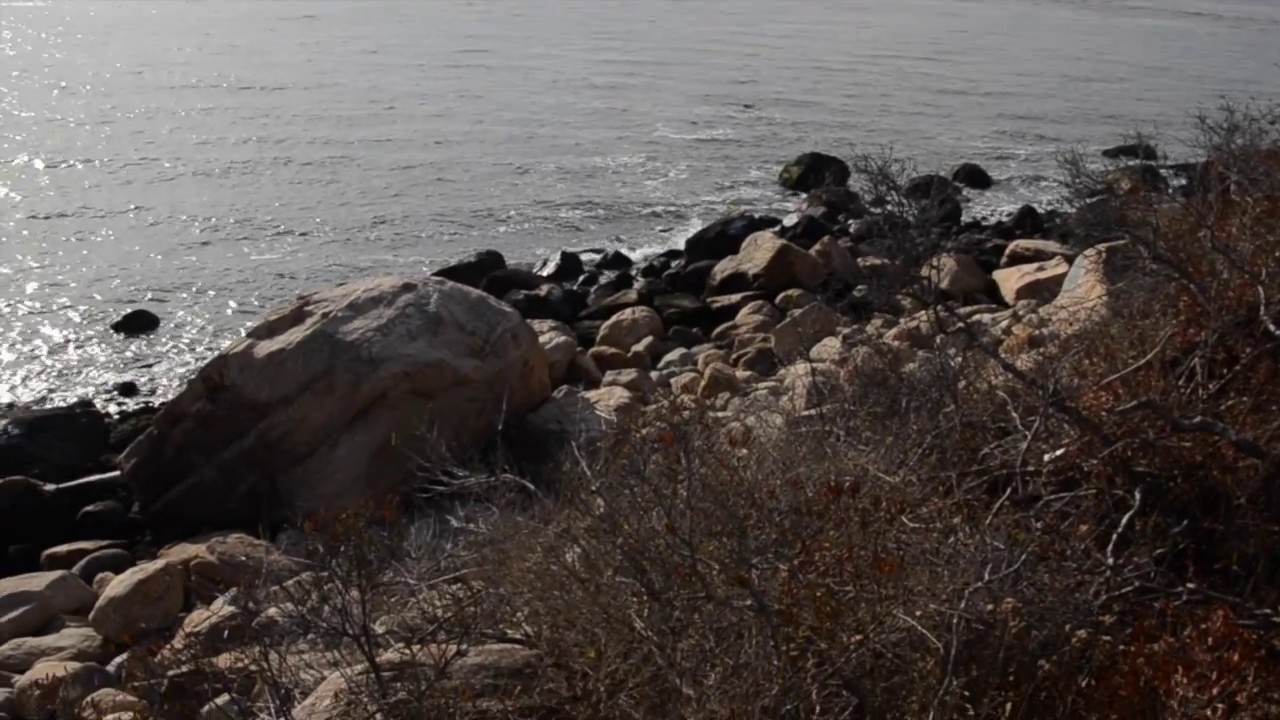 Paradise by the Sea: Hammonasset Beach State Park // Entune Productions