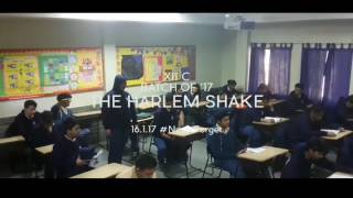Harlem shake TIS 12C -17