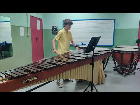 "Wave Interference" (M. Obermeyer) for percussion ensemble - Ismael Gómez multicover