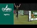 Agility -  Crufts Medium ABC and Intermediate/Large Novice ABC Final (Jumping) Part 2 | ​Crufts 2023