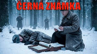 Tajemstv Lesn Prseky Roku 1943  Kam Mizeli Divizn Kuri