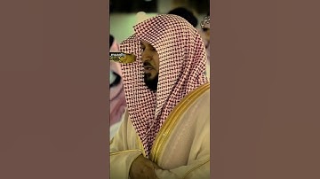 تلاوة فضيلة الشيخ د.ماهر المعيقلي-حفظه الله و رعاه🌸 #ماهر_المعيقلي