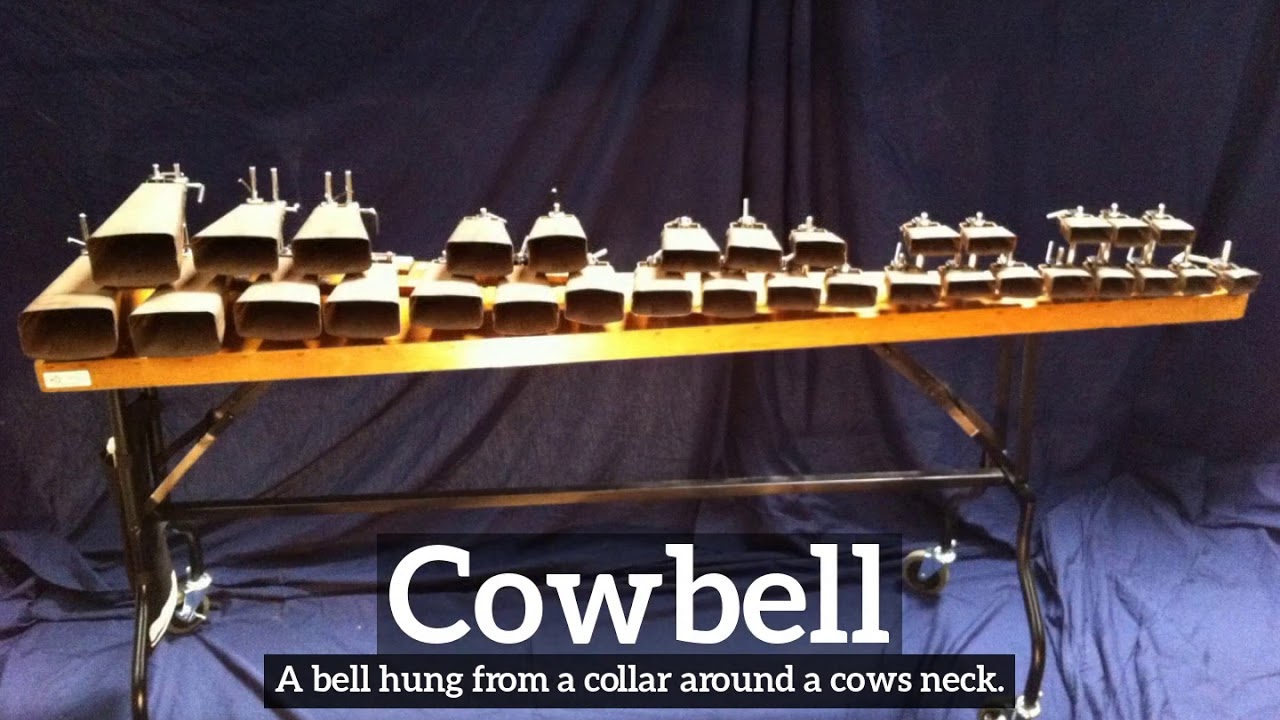 How Does Cowbell Look? What is Cowbell? How to Say Cowbell in