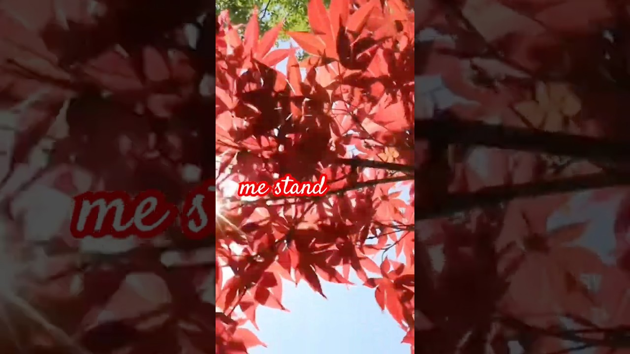 ✨ The Love I Hide in Silence - Five of Them — Waiting Where We Once Belonged 🫶🎶