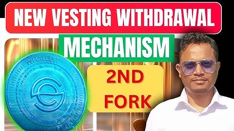 Meta Whale CES token Vesting Withdrawal Explained