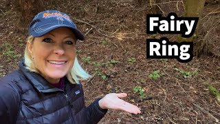 360  What is a fairy ring?
