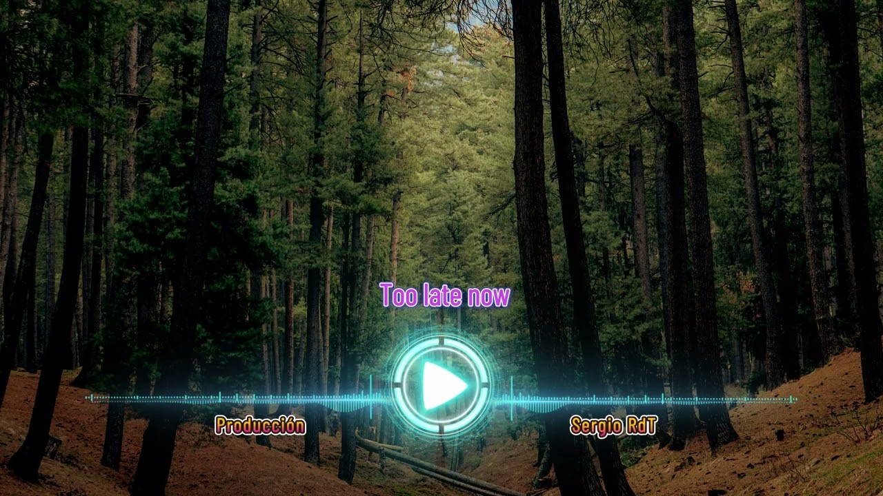 Sergio RdT - Too late now