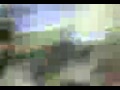 V 3gp V 3gp