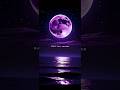 feel this palpal afusic song#love
