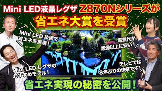 Congratulations! The Mini LED LCD REGZA Z870N series won the