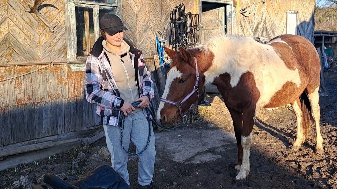 Про подарунок від підписника🎁Сільва в ролі моделі 🦄та про амуніцію✨️