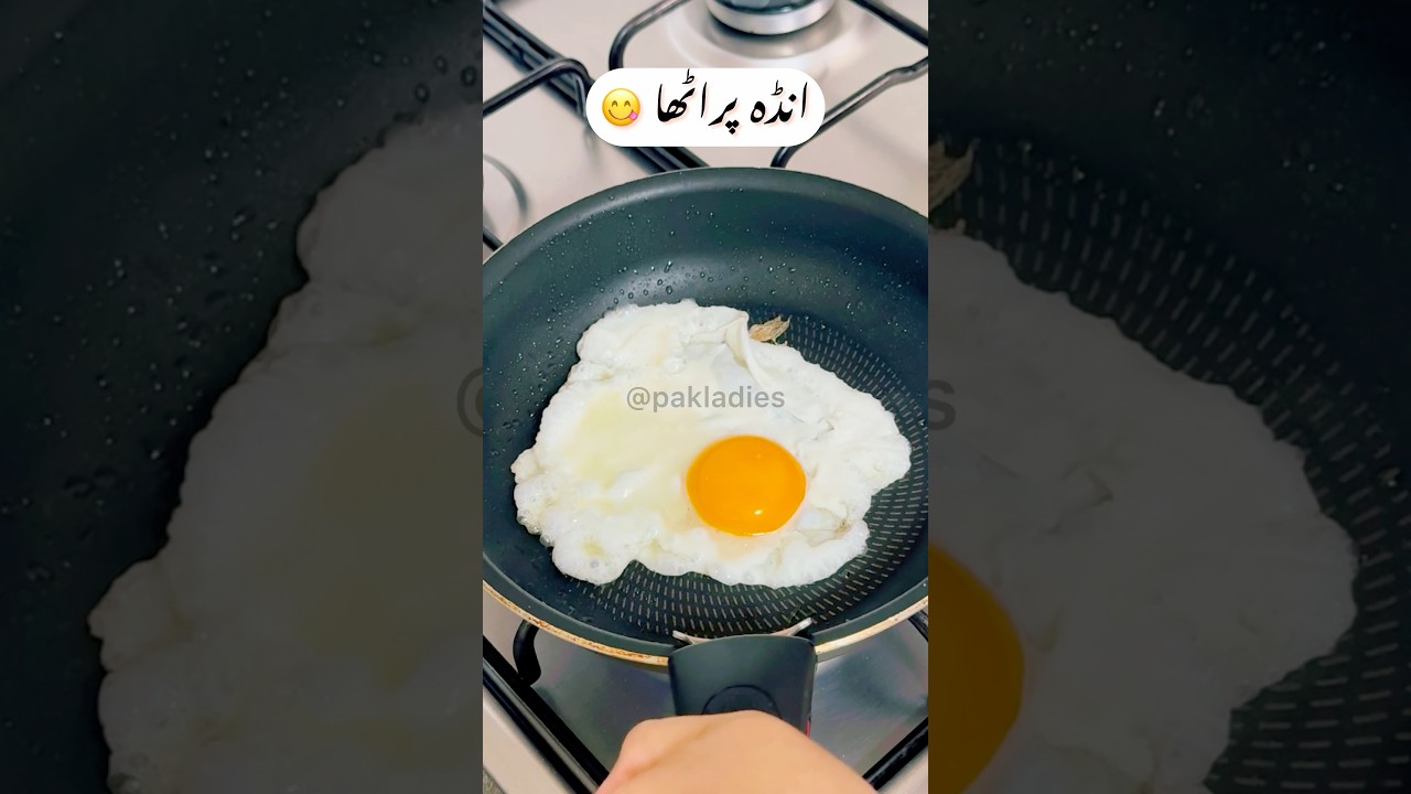 Fried Egg Paratha 😋 