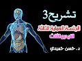 الجلسة العملية الثانية الفيديو الثالث تشريح3 للدكتور القدير حسن حميدي 