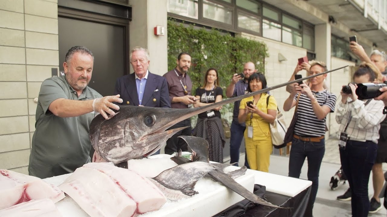 Anti-Convention 2019: Catalyst