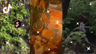Fairycore and Gremlincore 🧚 Part 5 🍄 tiktok compilation