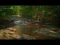 Relaxing Nature Sounds, ASMR