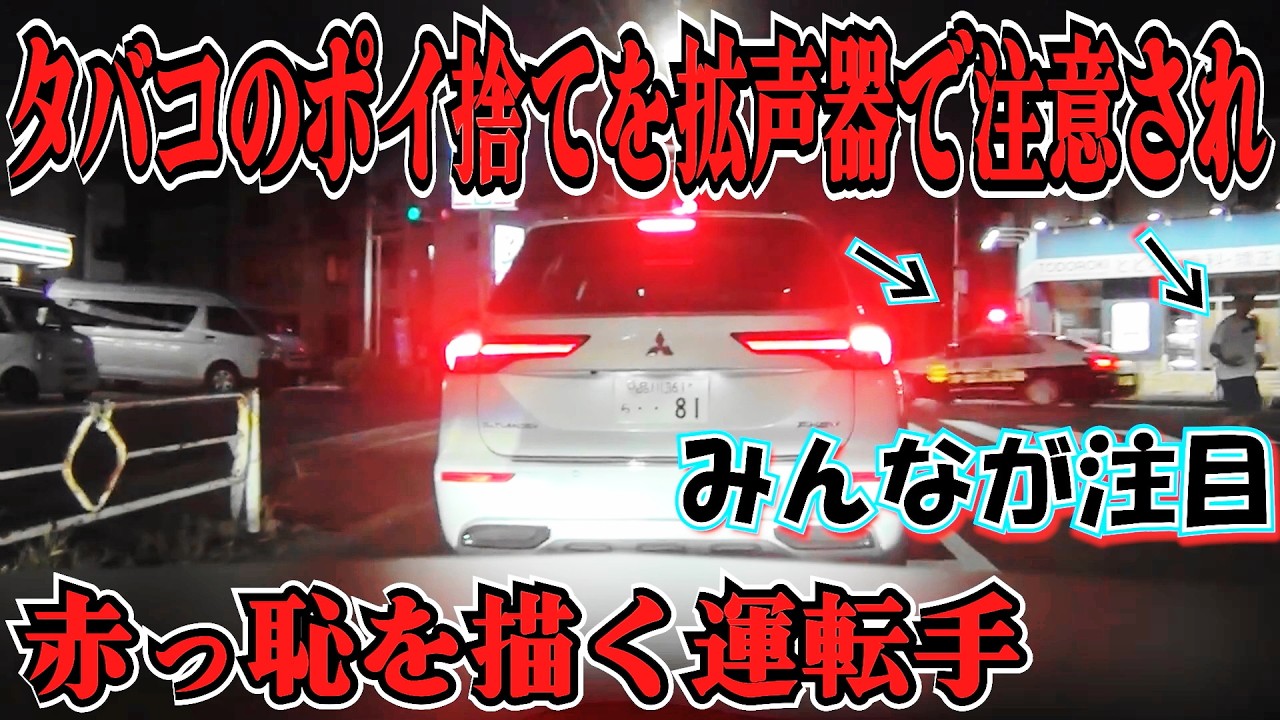 ご覧ください これがヤニカスなる種族です