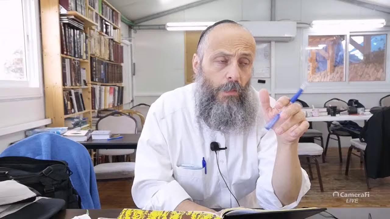 Законы выноса в субботу, книга Пискей Тшувот гл. 301, окунание в одежде, о суровости запрета выноса