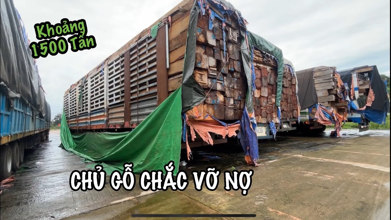 Sót Xa Khi thấy 10 Xe bị Bỏ Rơi. || TuấnTrucking