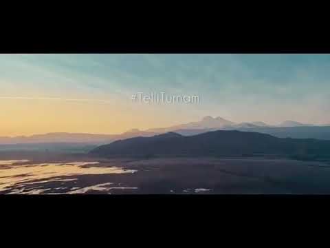 Tarık İster feat. Elif Buse Doğan - Telli Turnam (official Video