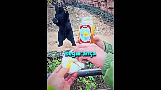 esse urso faminto só queria um pão com mel🐻🍯