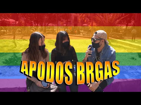 APODOS BRGAS | Drare Cervantes