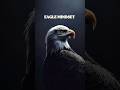 Eagle mindset 🦅 #eaglemindset #successmindset #humanbehavior #motivational #youtubeshorts