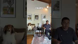 Kingston Real Estate: 2025 So Far