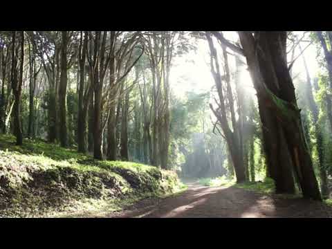 Así Son Mis Días - Jam Black -video oficial