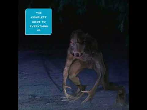 The Chupacabra