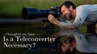 Are Teleconverters Necessary for Wildlife Photography?