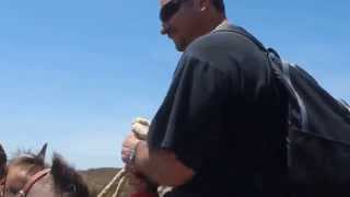 Horseback riding in Ensenada from Carnivale Cruise @ Desert-Trails.com Horseback riding in Ensenada from Carnivale Cruise @ Desert-Trails.com