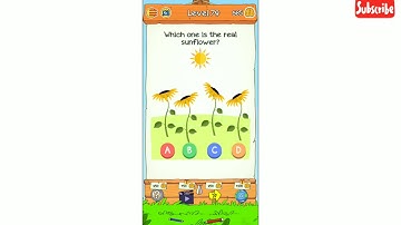 BrainDom 2 who is level 79