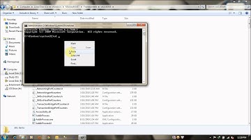 Asp.Net 4.0 has not been registered on the website