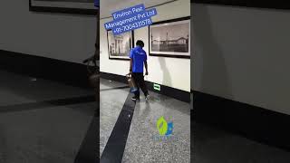 #environpestmanagement #pestcontrol #drainflies #mosquitoes #patna #bedbugremoval #rodents #fogging