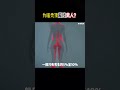 为啥秃顶爱找男人? #历史解说 #涨知识 #历史 #科普 #冷知识