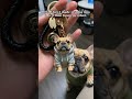 Capture every lovely expression of your furry friend#dog #love #custom #figure #petgifts