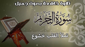 قران | سورة التحريم | تلاوة خاشعة تريح النفوس