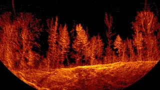 Sonar images from underwater search for missing woman in Smith Lake