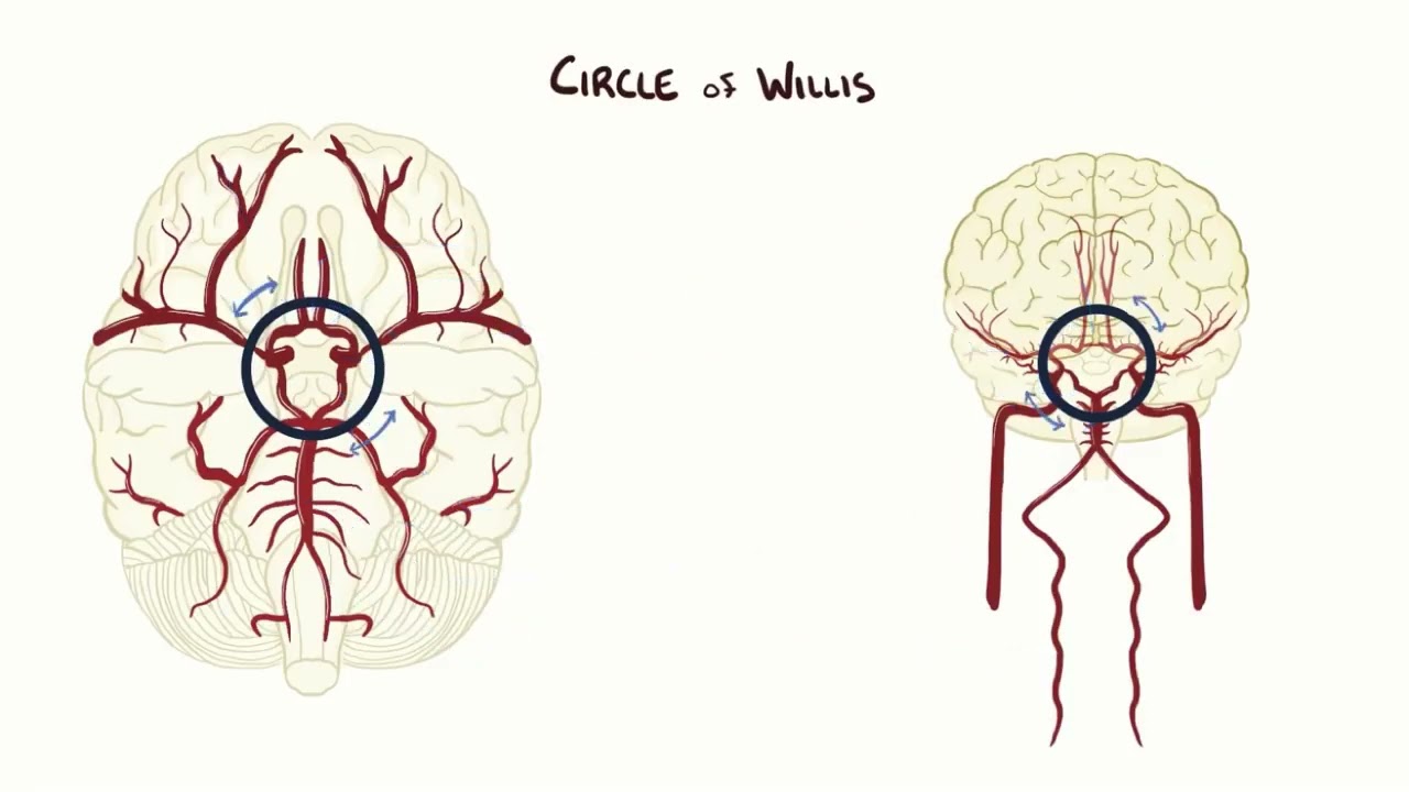 Osmosis | Sub-arachnoid Haemorrhage