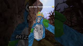 Gtag x it collab #gtag #gorillatag #metavr