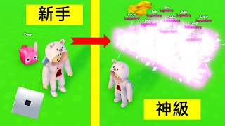 [Pet Simulaotr X] 我合成了👉20多隻👈 傳奇寵物😱！原來是這麼容易做到😍！ (Roblox 機械方塊)