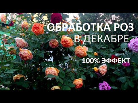 САМАЯ ВАЖНАЯ ОБРАБОТКА