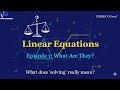 Episode 1 Linear Algebra ZIMSEC O Level Maths