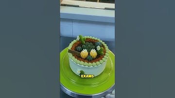 AITAH for refusing to tutor my cousin for free?