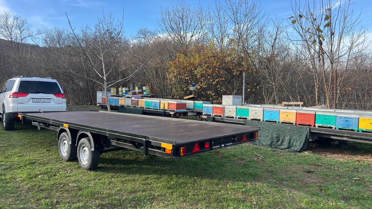 За большим медом! О прицепах для перевозки пчел..