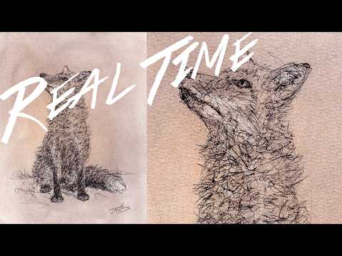 Biro Pen Sketch of a Fox on Pastel Background (Real Time Drawing)