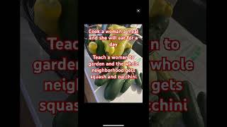 Plant a seed……. Eat for a year #backyardgardening #zucchini #freshvegetables #springveggies #squash