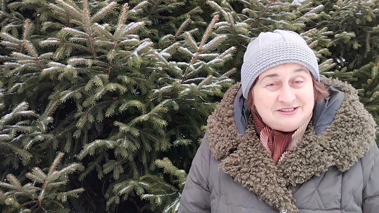  Спостереження за зимовими деревами