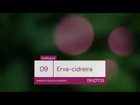 Audioguia Jardim de Todos os Sentidos | Erva-cidreira